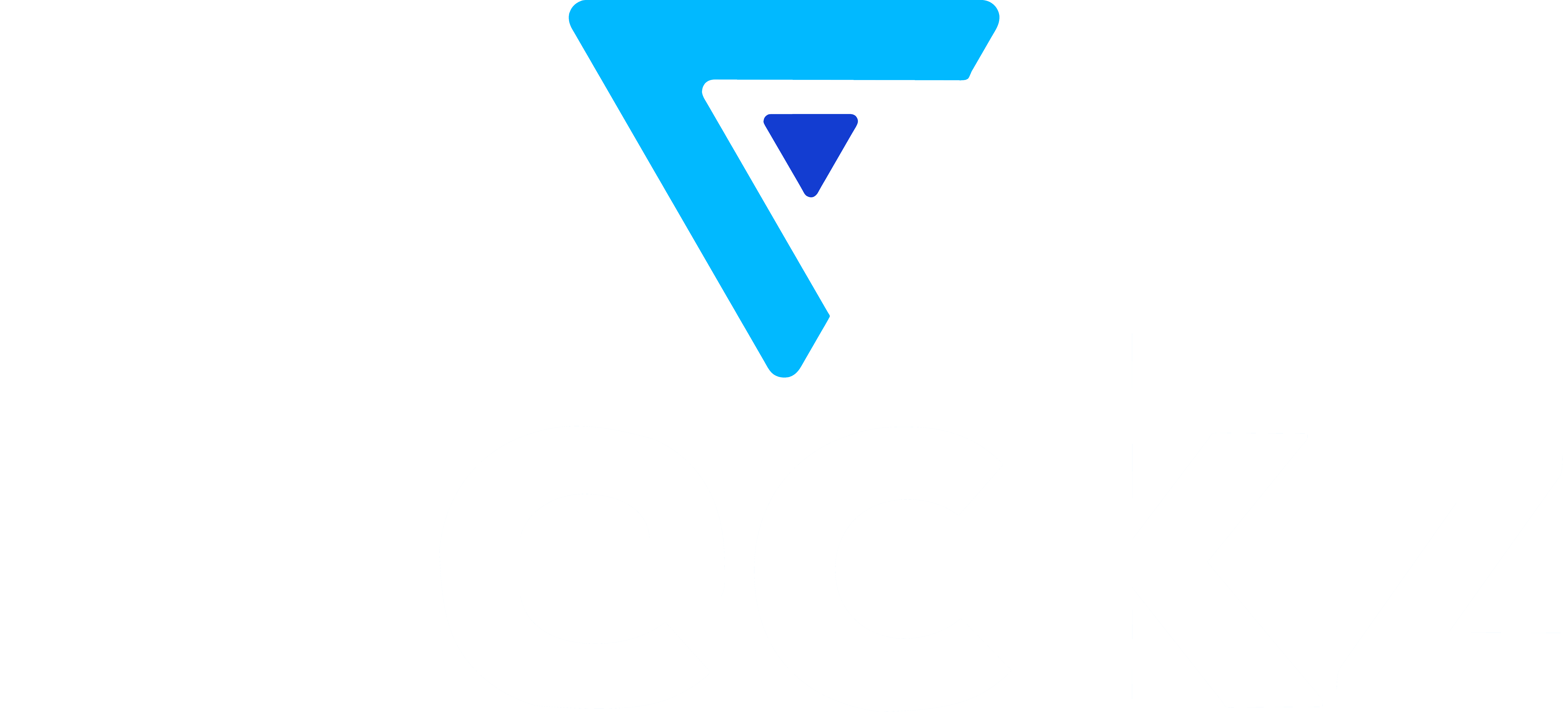 Fleckz logo - TRON Group IT partner