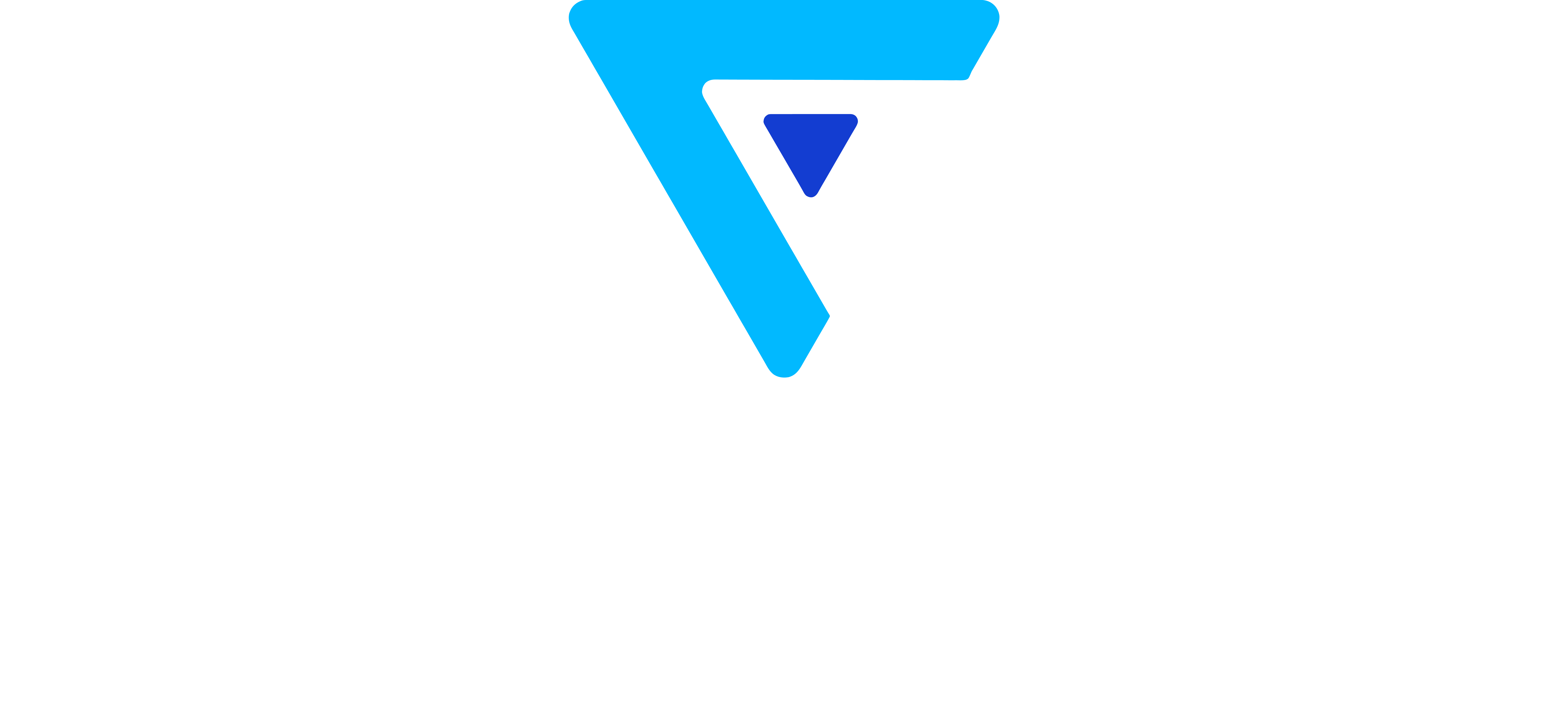 Fleckz logo - TRON Group IT partner